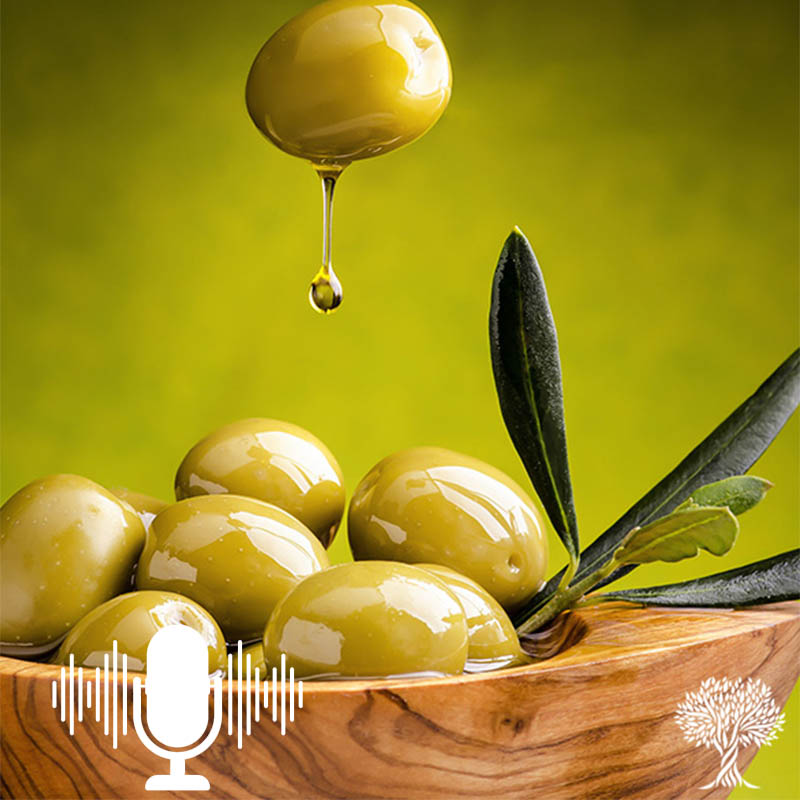 پادکست دکتر زیتون